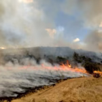 UK to give £2.9m to Kenya as Compensation Over Army Fire in Lolldaiga