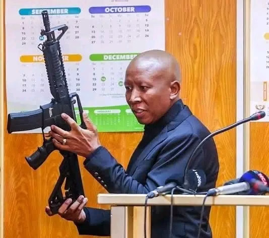 Julius Malema Convicted of Gun Offences, Faces Possible 15-Year Prison Term