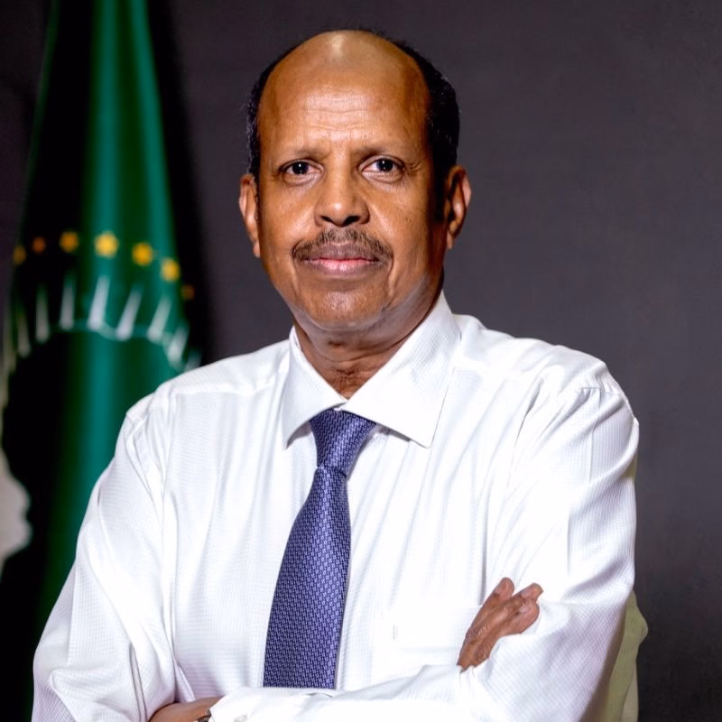 African Union Renews Push for Permanent UN Security Council Seats