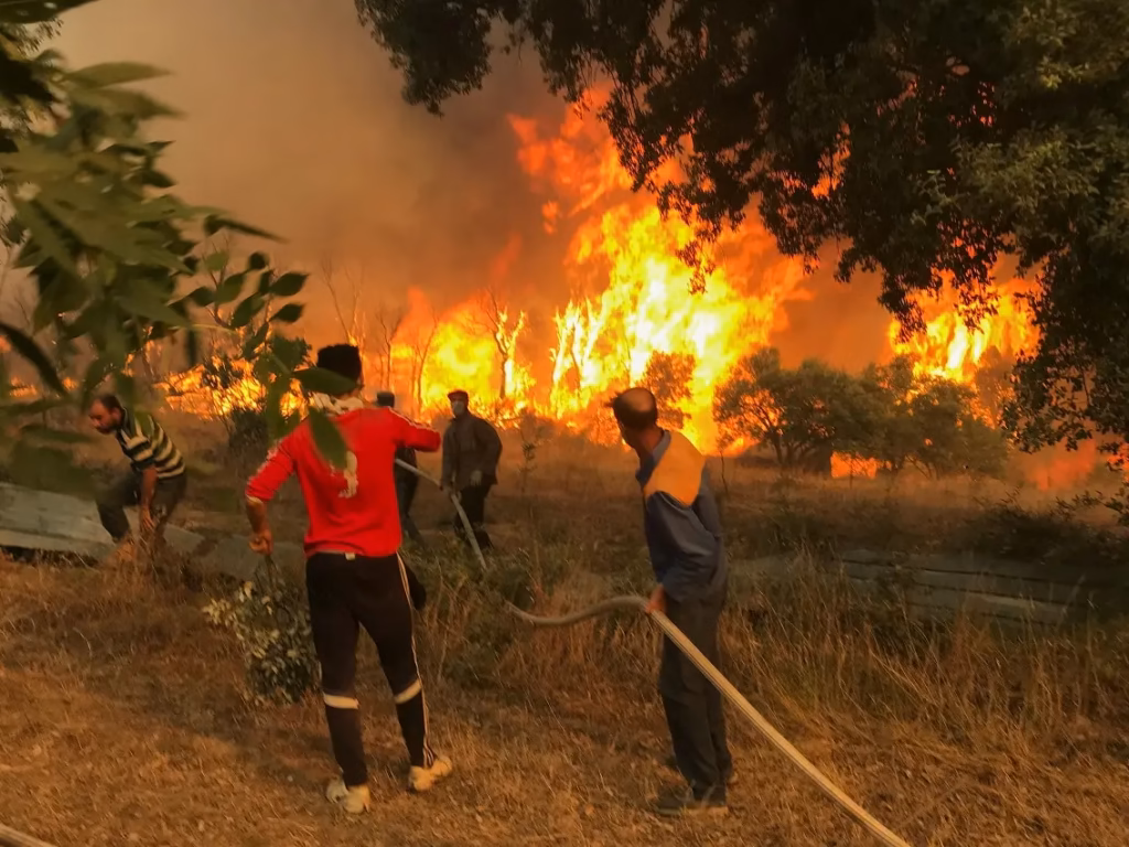 Algeria Wildfires Displace Hundreds as Volunteers Rush Aid to Jijel Families