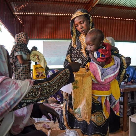 Sudan War Leaves 24,000 Displaced People Facing Hunger and Disease in Blue Nile Camp