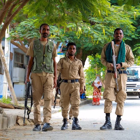 Tigray Rebel Leader Says Northern Ethiopia Remains at War